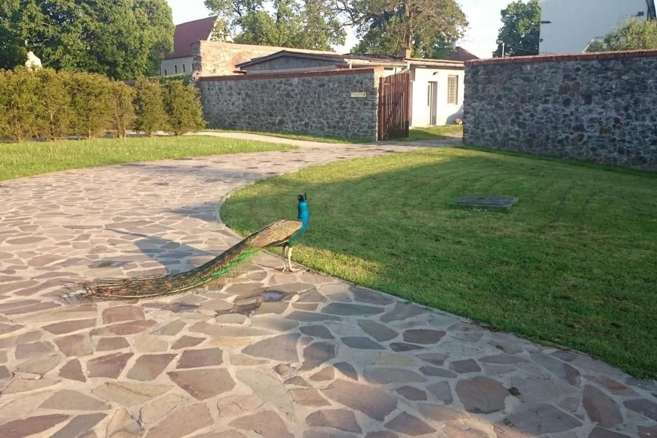 Slovak Cottage Near Bratislava In The Heart Of The Carpathians Modra Extérieur photo