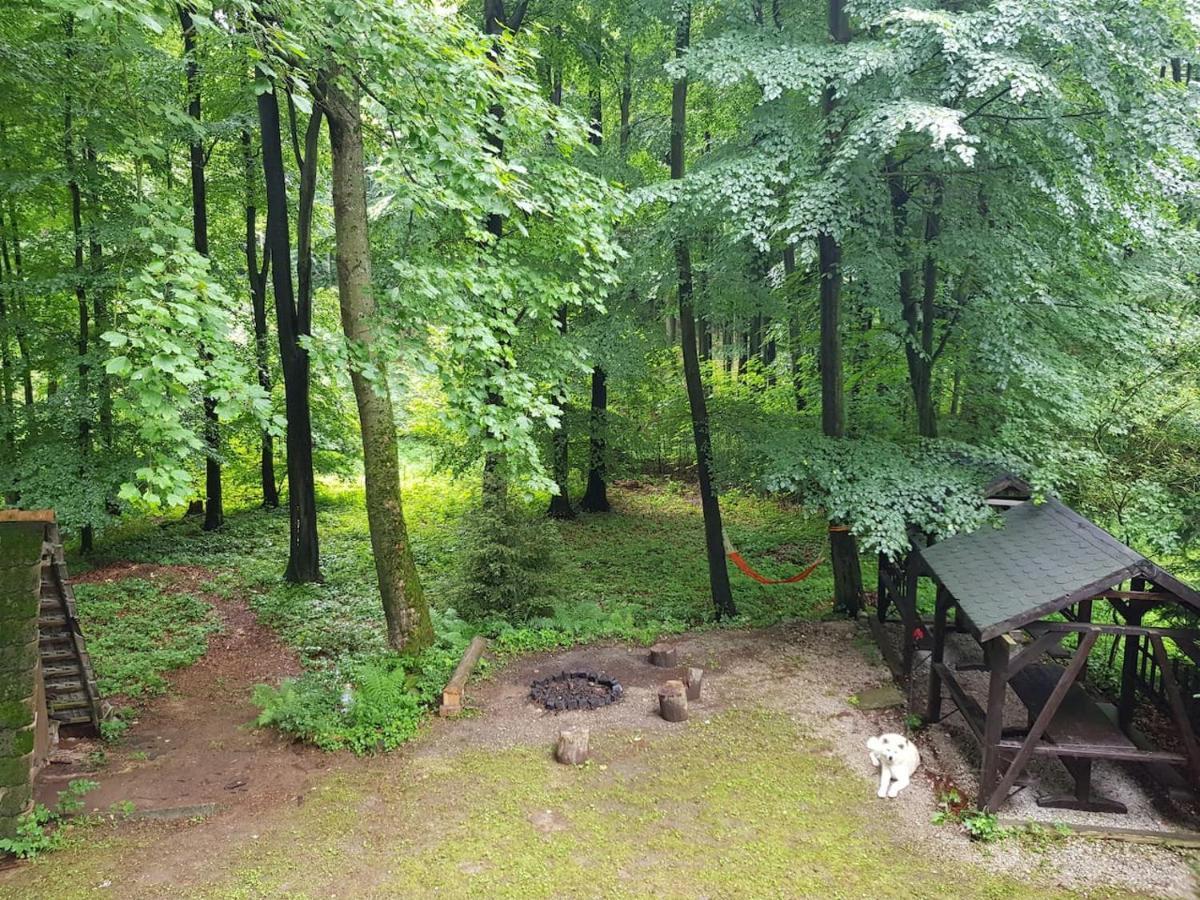 Slovak Cottage Near Bratislava In The Heart Of The Carpathians Modra Extérieur photo