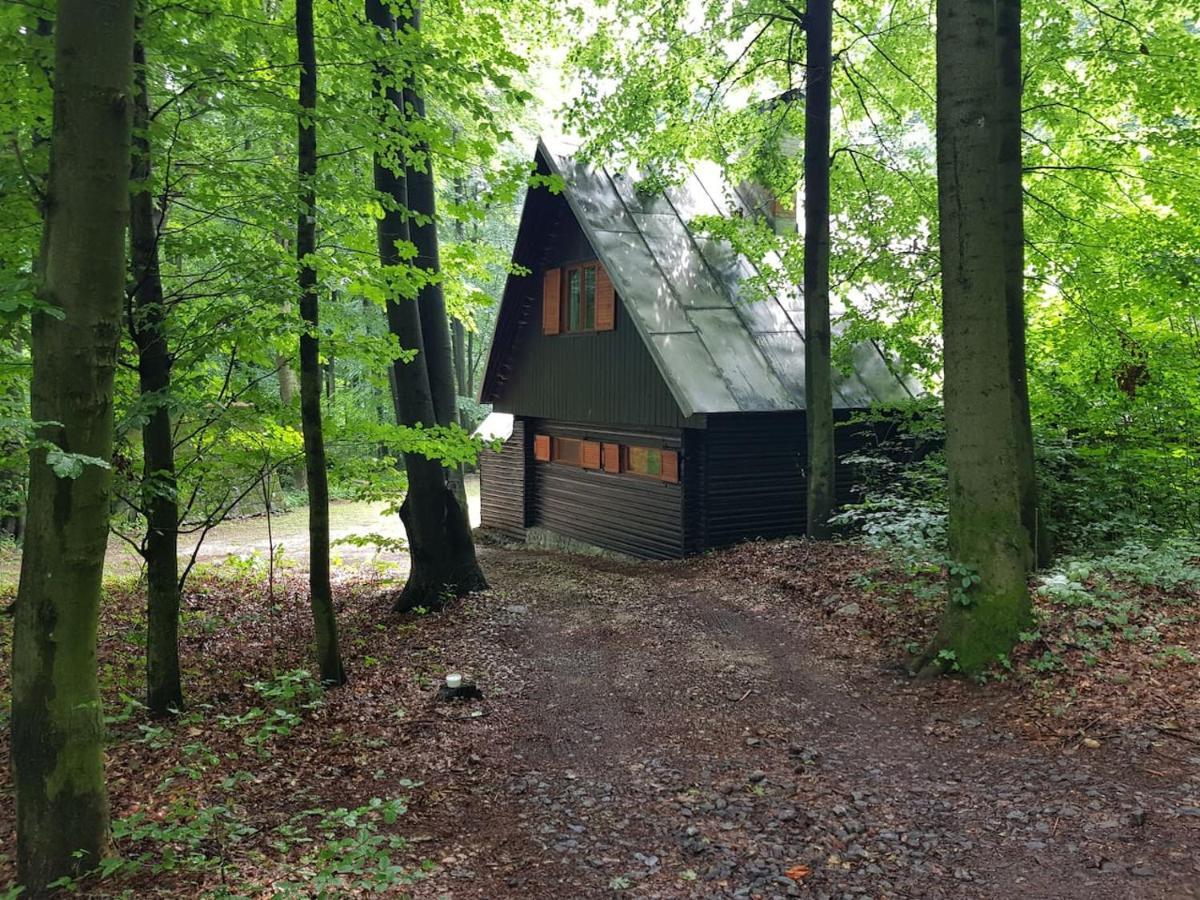 Slovak Cottage Near Bratislava In The Heart Of The Carpathians Modra Extérieur photo