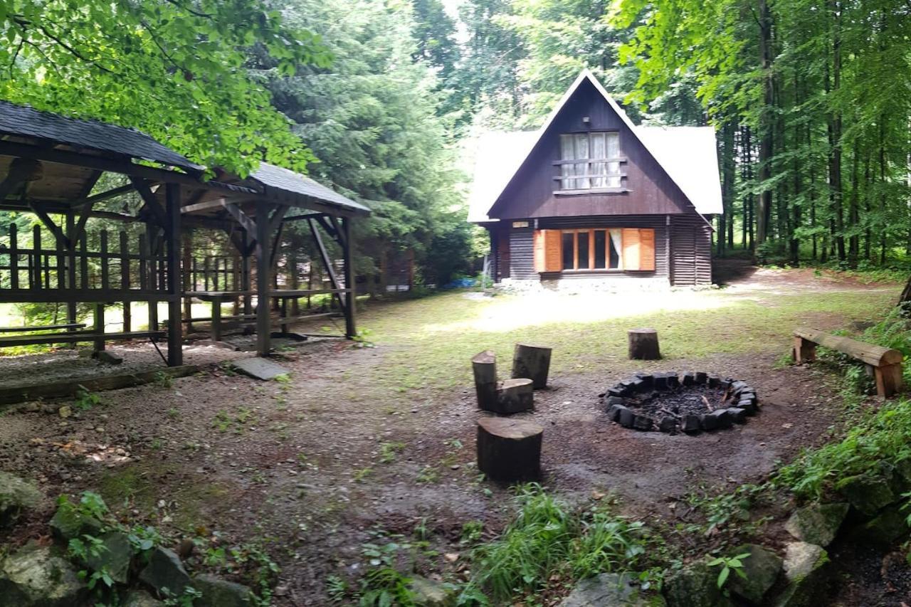 Slovak Cottage Near Bratislava In The Heart Of The Carpathians Modra Extérieur photo